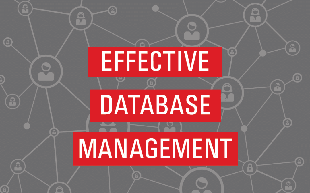 No man can serve two systems: how to create an effective Database Management system