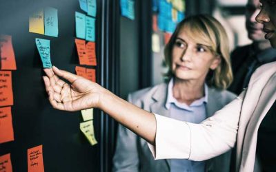 Should you train or should you coach?