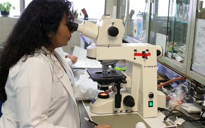 Take a look at our Data Cloud for Healthcare overview