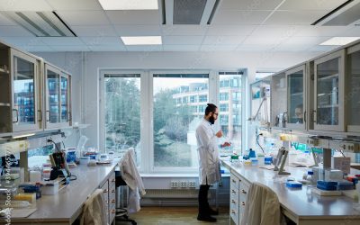 Meaningful healthcare innovation needs strategic partnerships